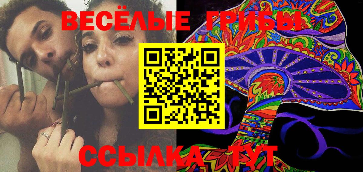 Галлюциногенные грибы мицелий  Вход с VPN  Галлюциногенные грибы MAGIC MUSHROOMS  Мытищи 