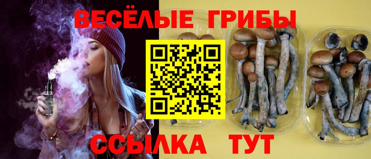 Псилоцибиновые грибы мицелий Мытищи